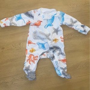 carters premie footie